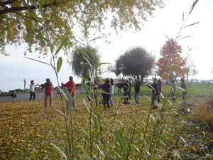 Qi Gong session