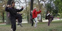 Séance de Tai Ji Quan